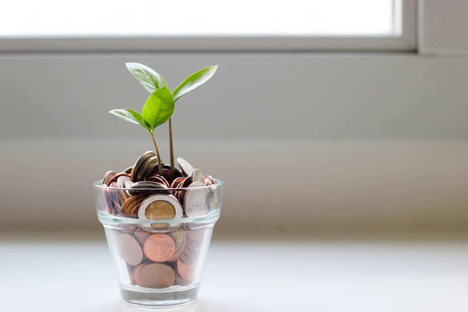 green plant growing from glass pot of coins